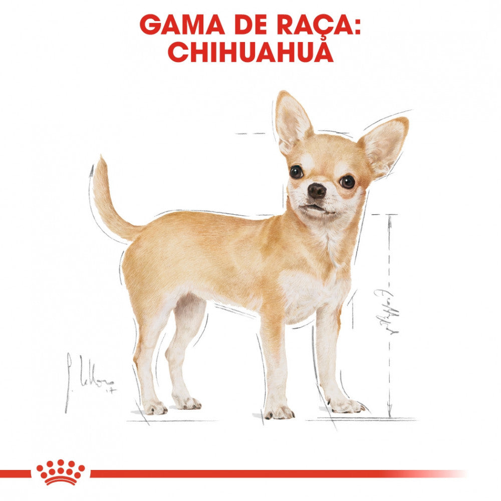Royal Canin Dog Chihuahua Adult | Wet (Pouch) | 12 x 85 g