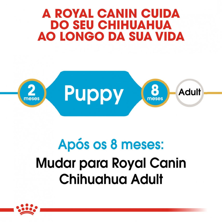 Royal Canin Dog Chihuahua Puppy - Ração seca para cachorro da raça Chihuahua