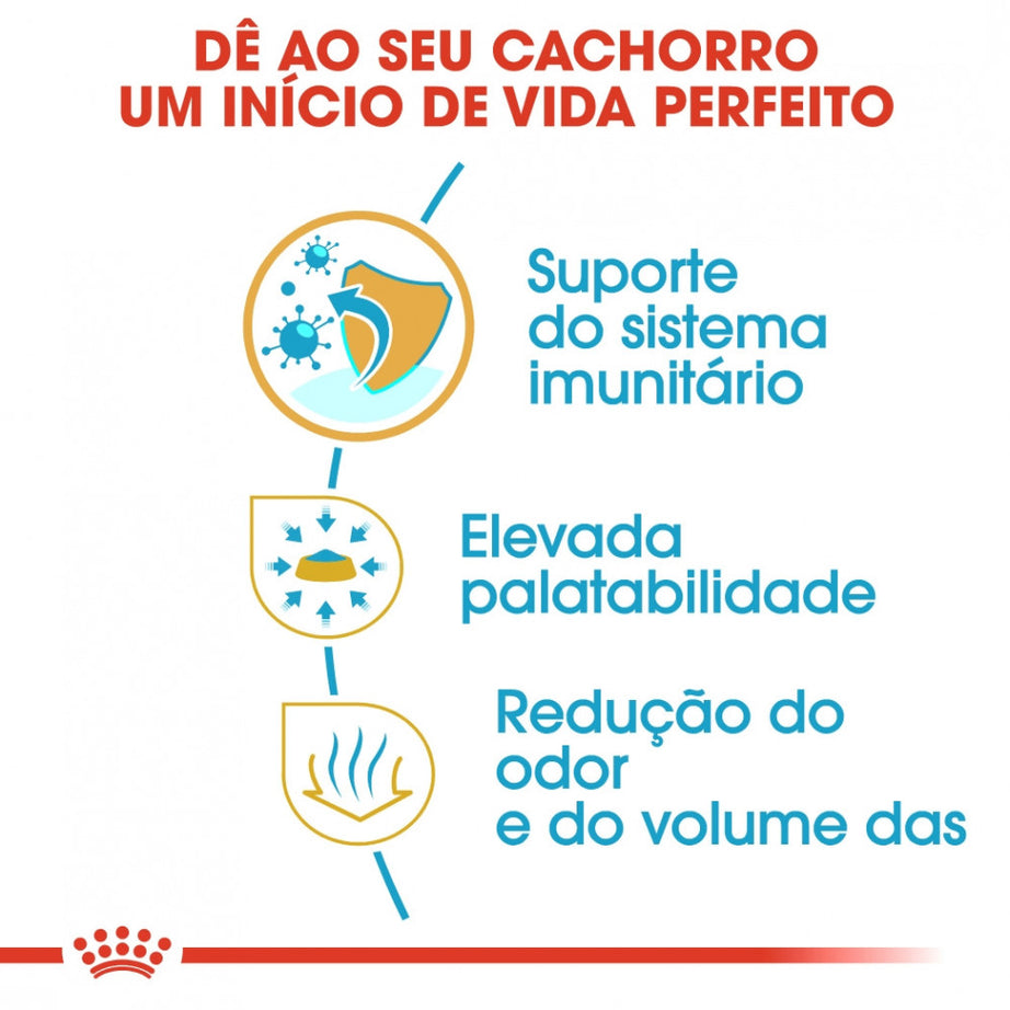 Royal Canin Dog Chihuahua Puppy - Ração seca para cachorro da raça Chihuahua