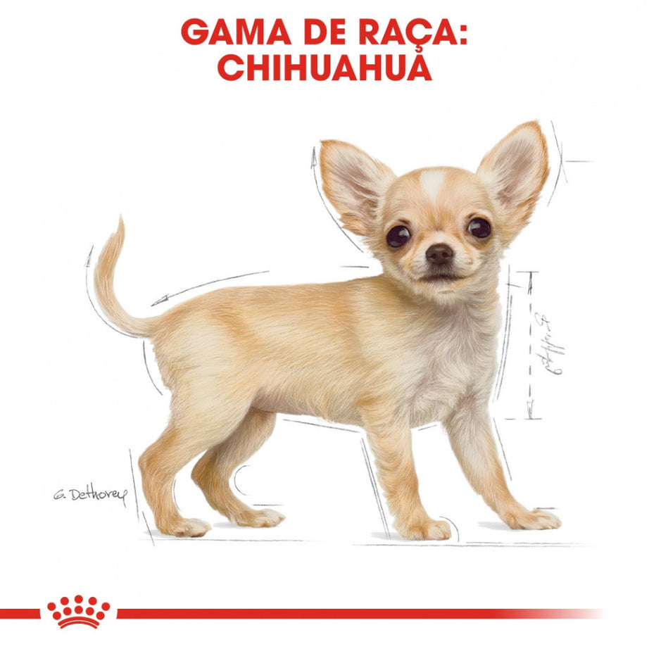 Royal Canin Dog Chihuahua Puppy - Ração seca para cachorro da raça Chihuahua