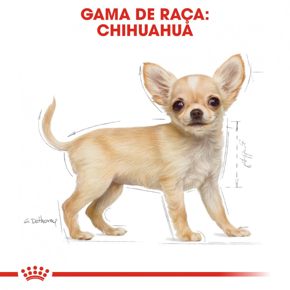Royal Canin Dog Chihuahua Puppy - Ração seca para cachorro da raça Chihuahua