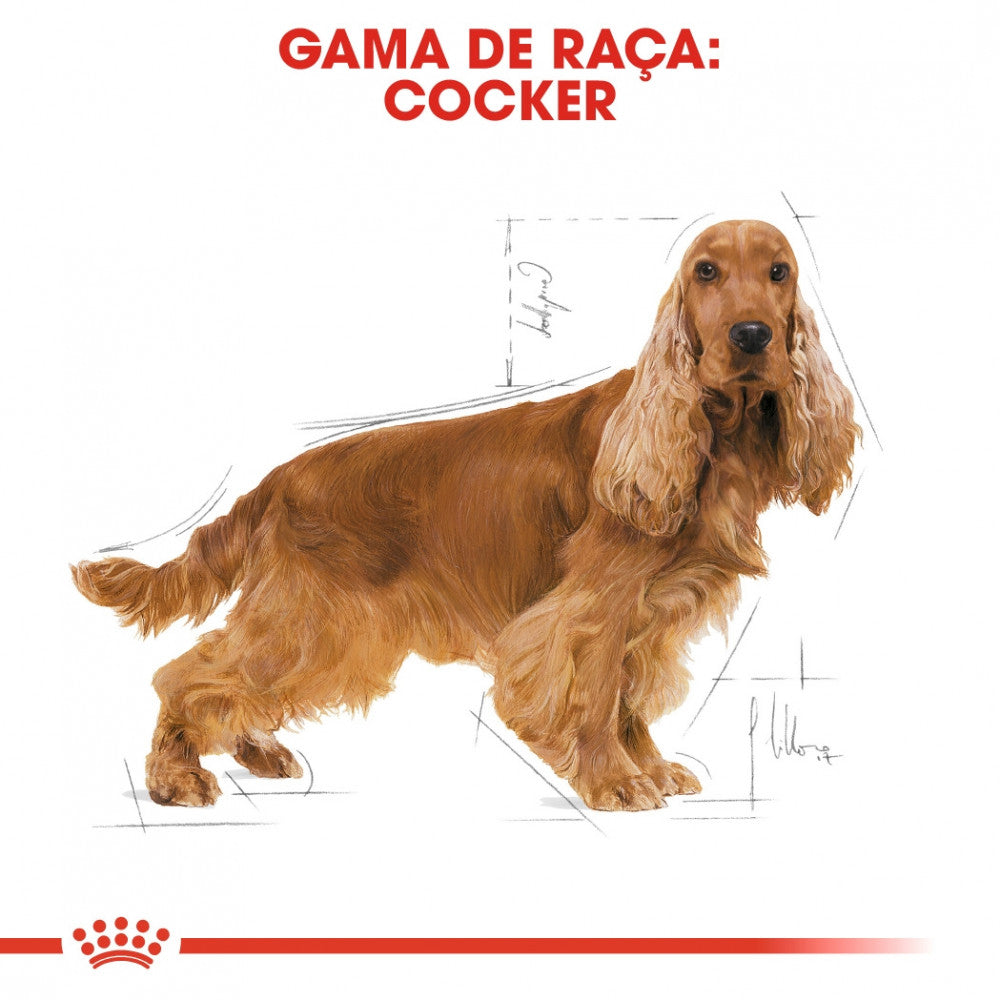 Royal Canin Dog Cocker Adult - Ração seca para cão adulto da raça Cocker