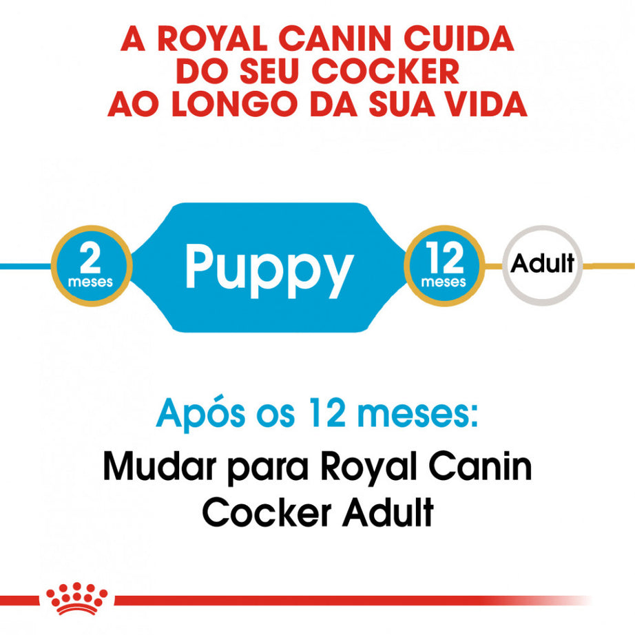 Royal Canin Dog Cocker Puppy | 3 Kg - Ração seca para cachorro da raça Cocker