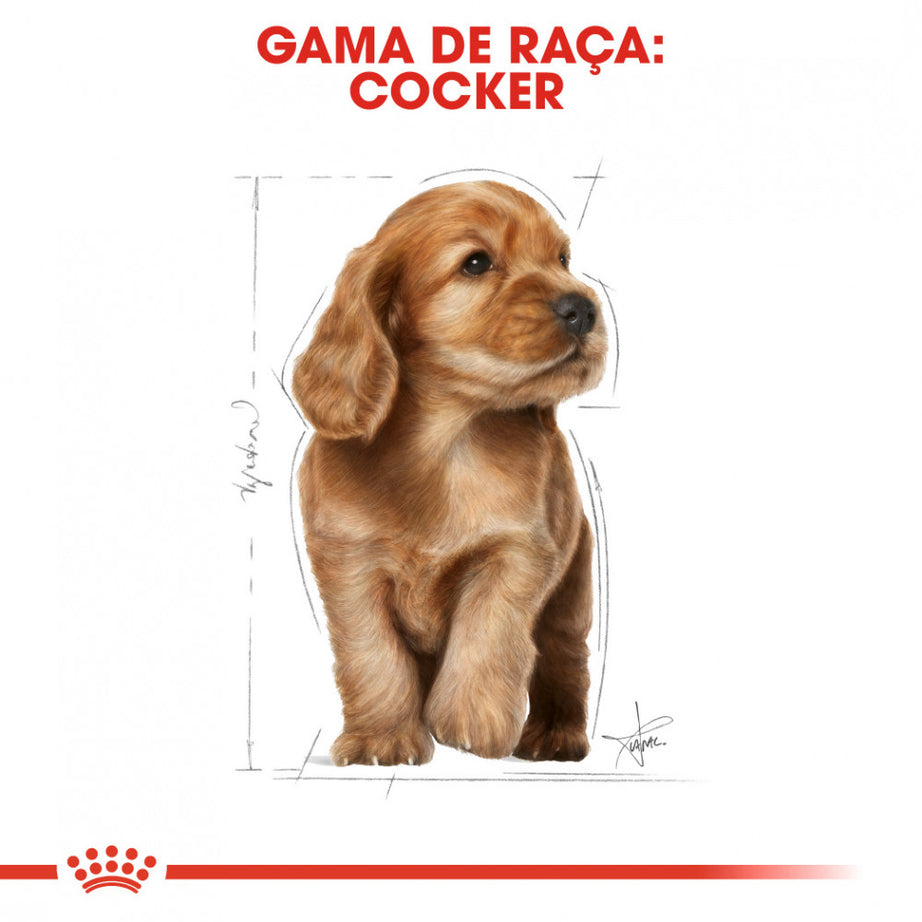 Royal Canin Dog Cocker Puppy | 3 Kg - Ração seca para cachorro da raça Cocker