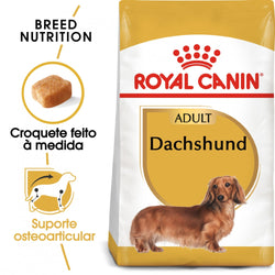Royal Canin Dog Dachshund Adult - Ração seca para cão adulto da raça Dachshund/Teckel