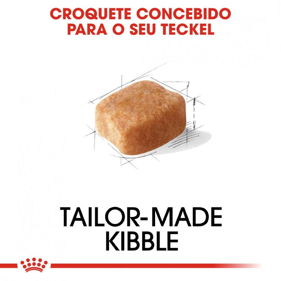 Royal Canin Dog Dachshund Adult - Ração seca para cão adulto da raça Dachshund/Teckel