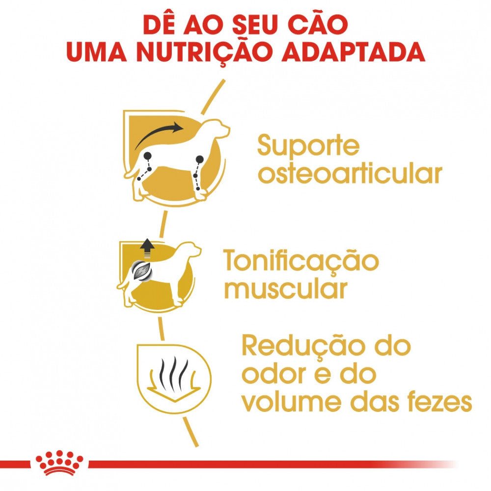 Royal Canin Dog Dachshund Adult - Ração seca para cão adulto da raça Dachshund/Teckel