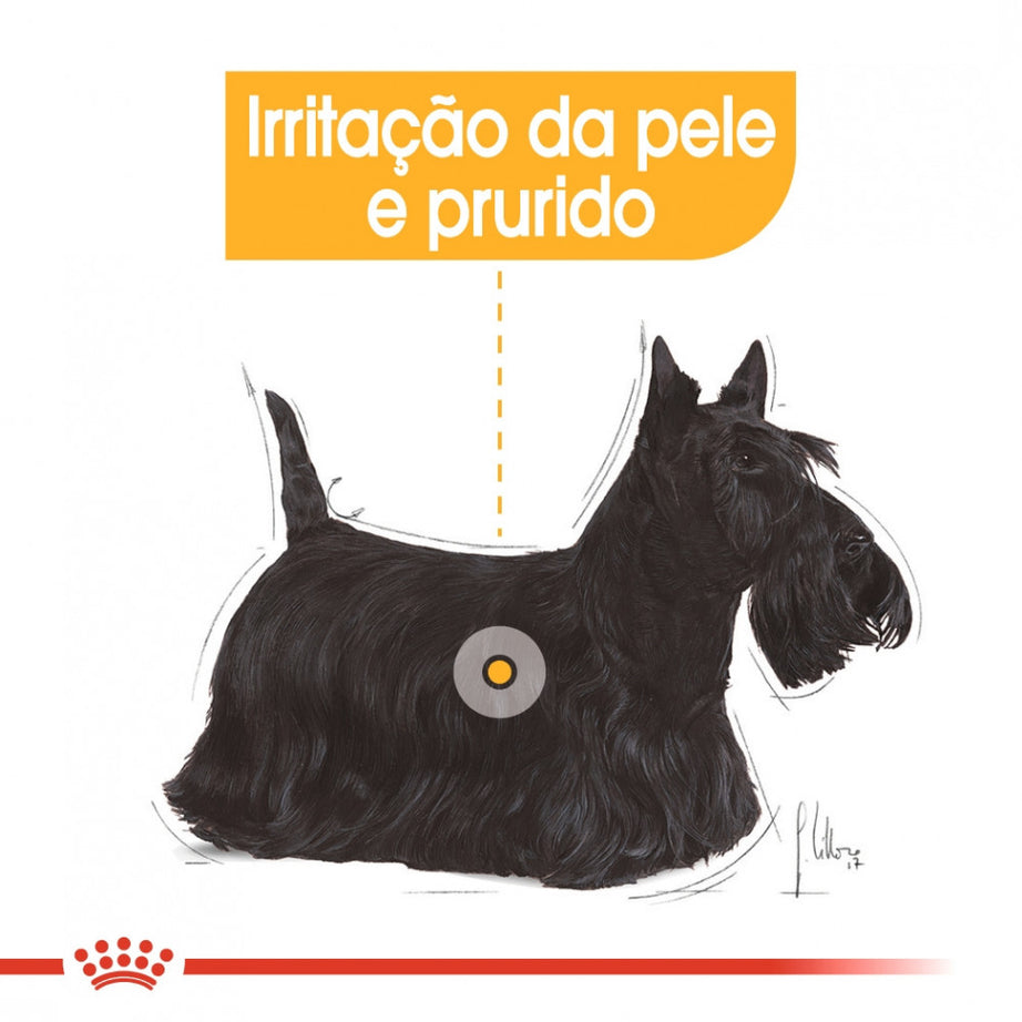 Royal Canin Dog Dermacomfort | Wet (Pouch) | 12 x 85 g