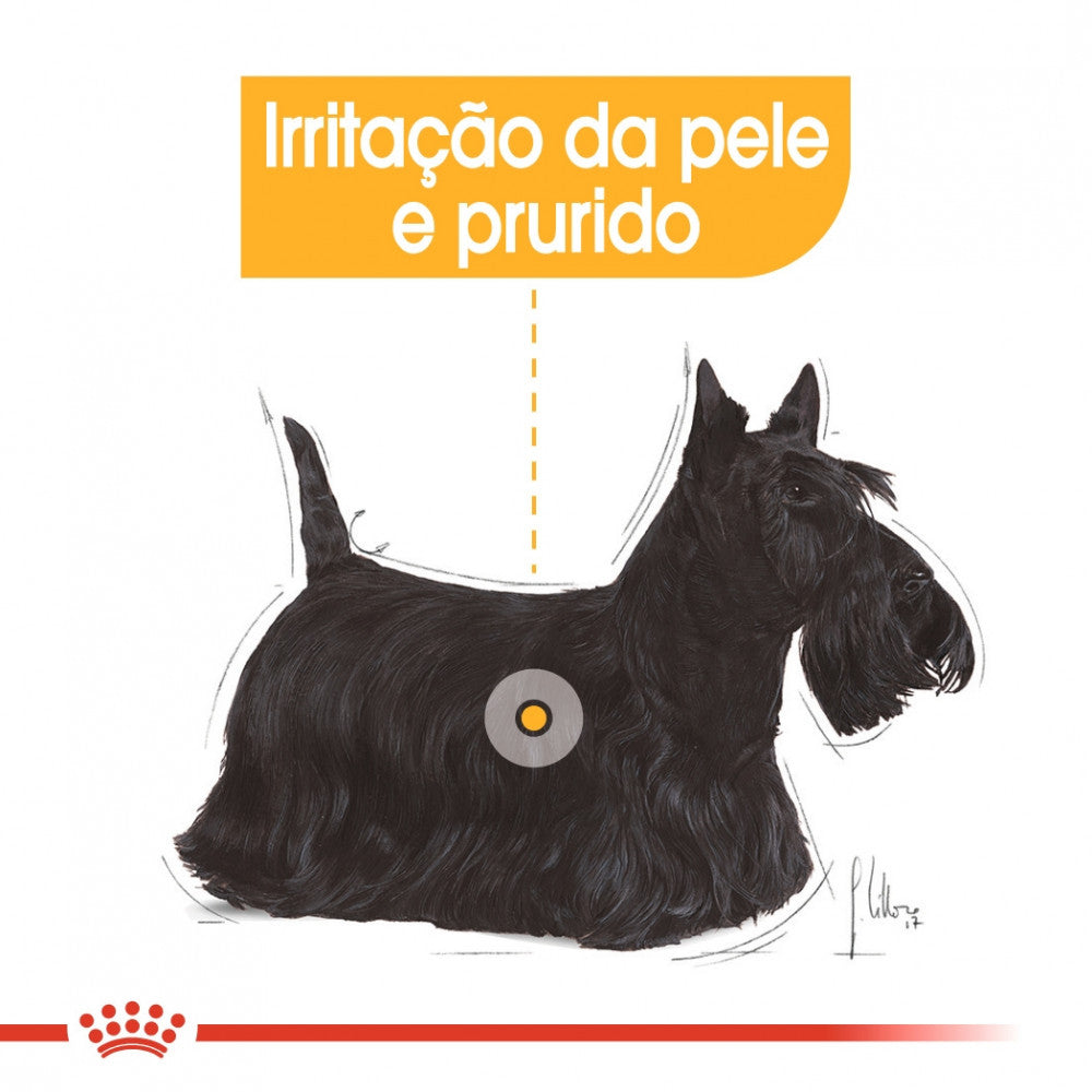 Royal Canin Dog Dermacomfort | Wet (Pouch) | 12 x 85 g