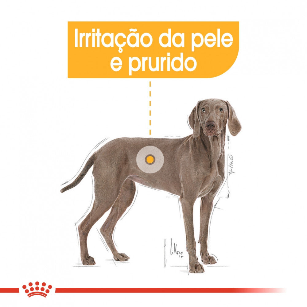 Royal Canin Dog Maxi Dermacomfort - Ração seca para cão adulto de porte grande com pele sensível