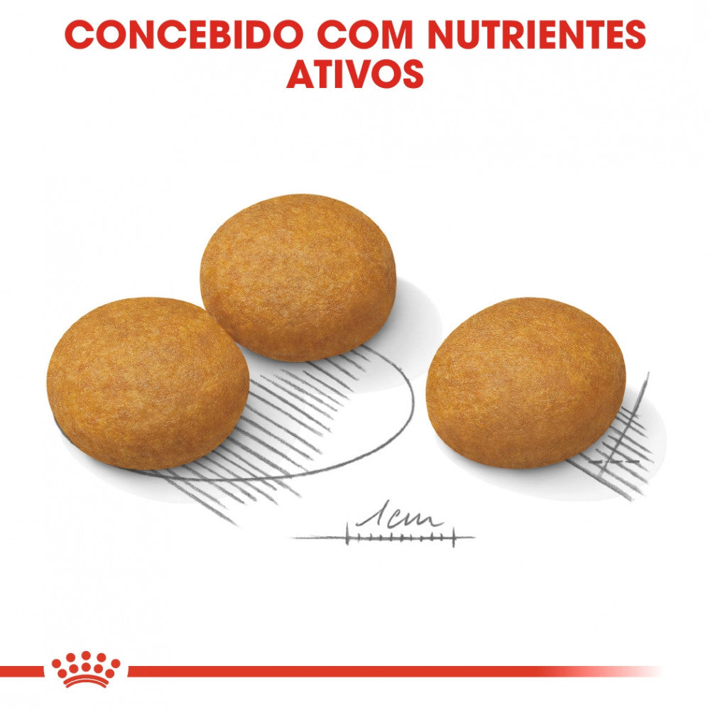 Royal Canin Dog Maxi Dermacomfort - Ração seca para cão adulto de porte grande com pele sensível