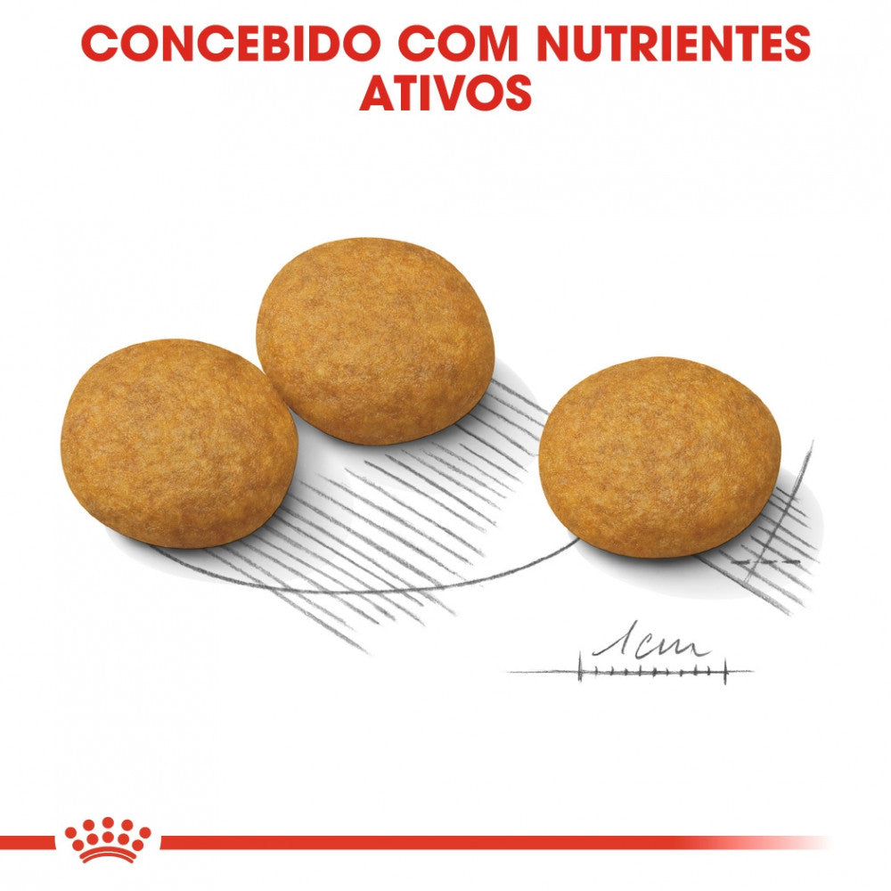 Royal Canin Dog Medium Dermacomfort - Ração seca para cão adulto de porte médio com pele sensível