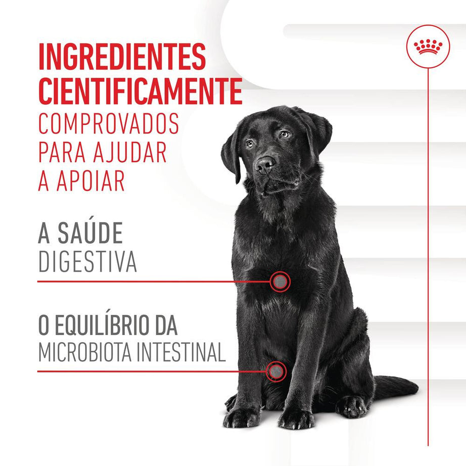 Royal Canin Digestion Chews - Dog supplement for digestive sensitivity 160g