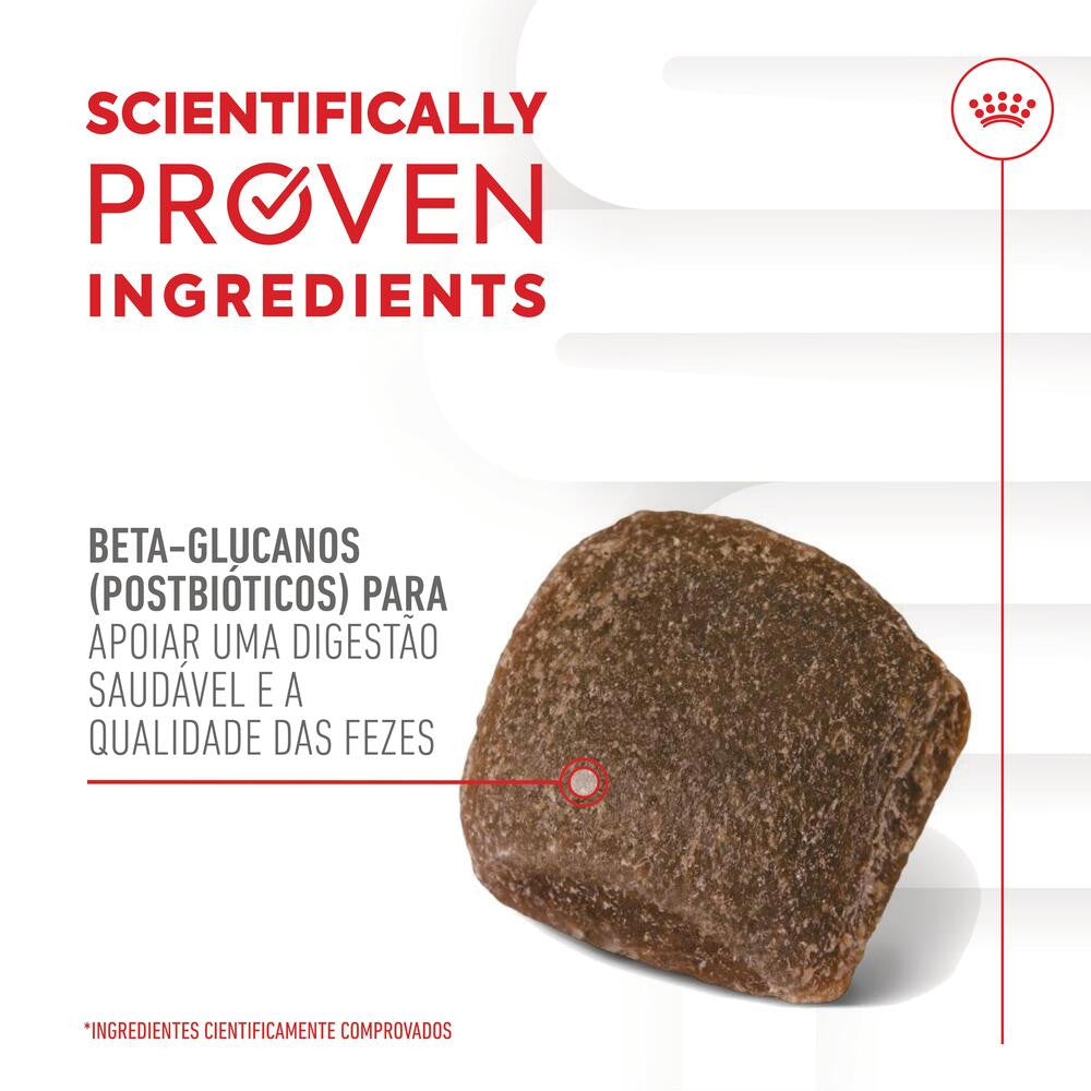 Royal Canin Digestion Chews - Dog supplement for digestive sensitivity 160g