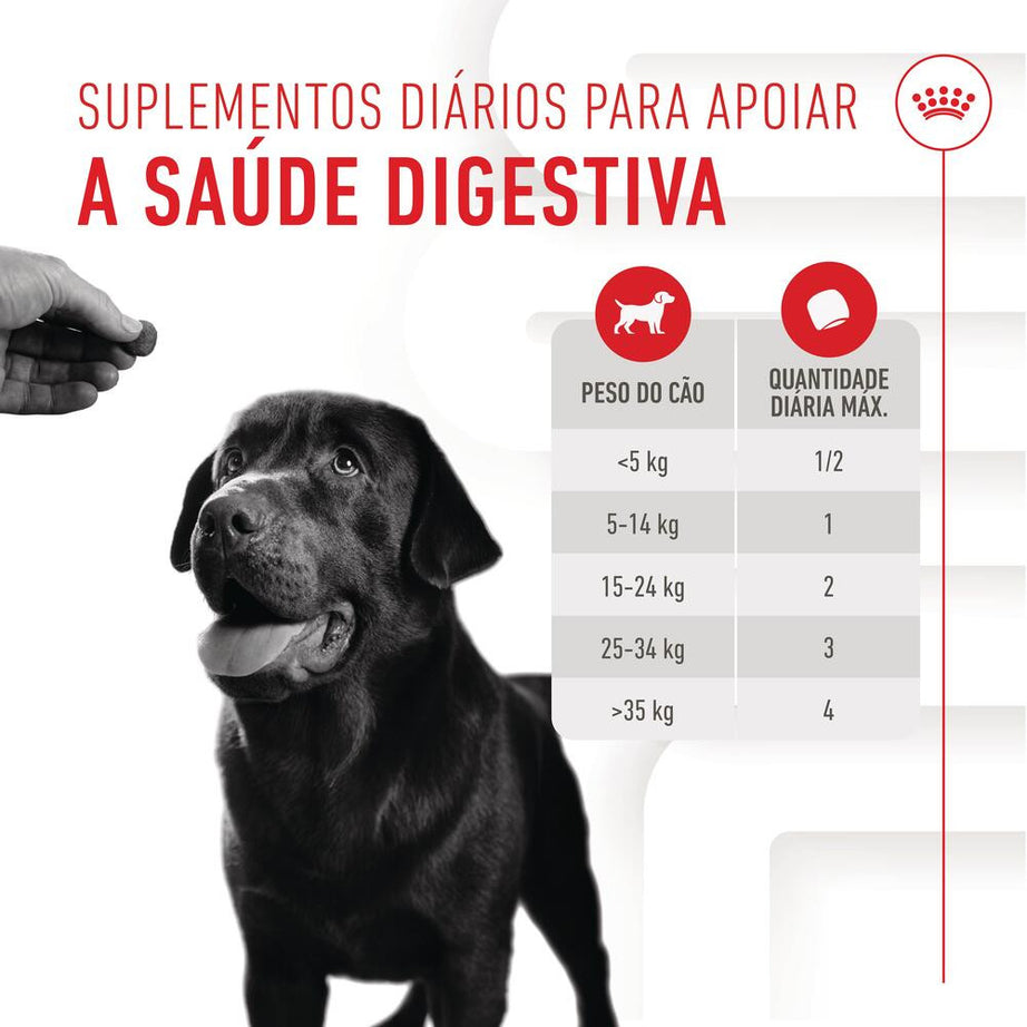 Royal Canin Digestion Chews - Dog supplement for digestive sensitivity 160g