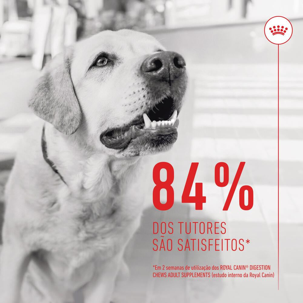 Royal Canin Digestion Chews - Dog supplement for digestive sensitivity 160g