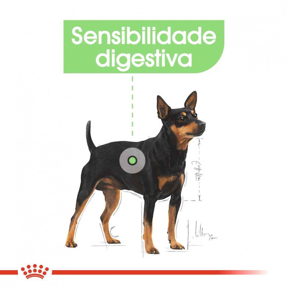 Royal Canin Dog Digestive Care | Wet (Pouch) | 12 x 85 g