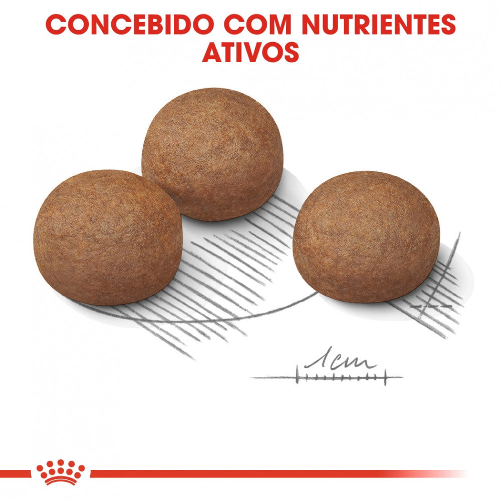 Royal Canin Dog Maxi Digestive Care | 12 kg - Ração seca para cão adulto de porte grande com sensibilidade digestiva