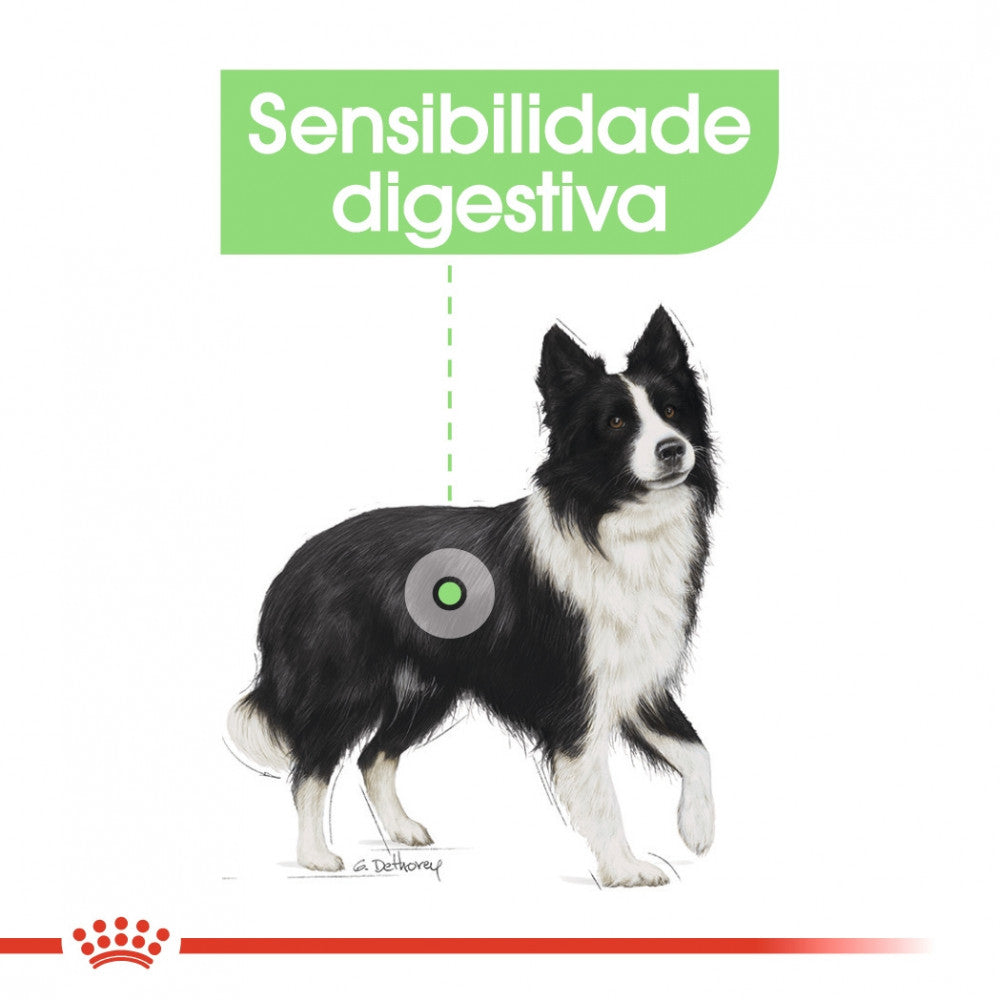 Royal Canin Dog Medium Digestive Care - Ração seca para cão adulto de porte médio com sensibilidade digestiva