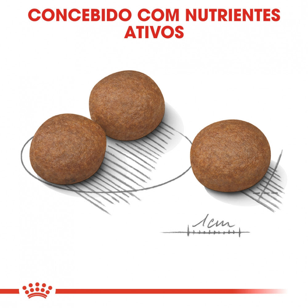 Royal Canin Dog Medium Digestive Care - Ração seca para cão adulto de porte médio com sensibilidade digestiva
