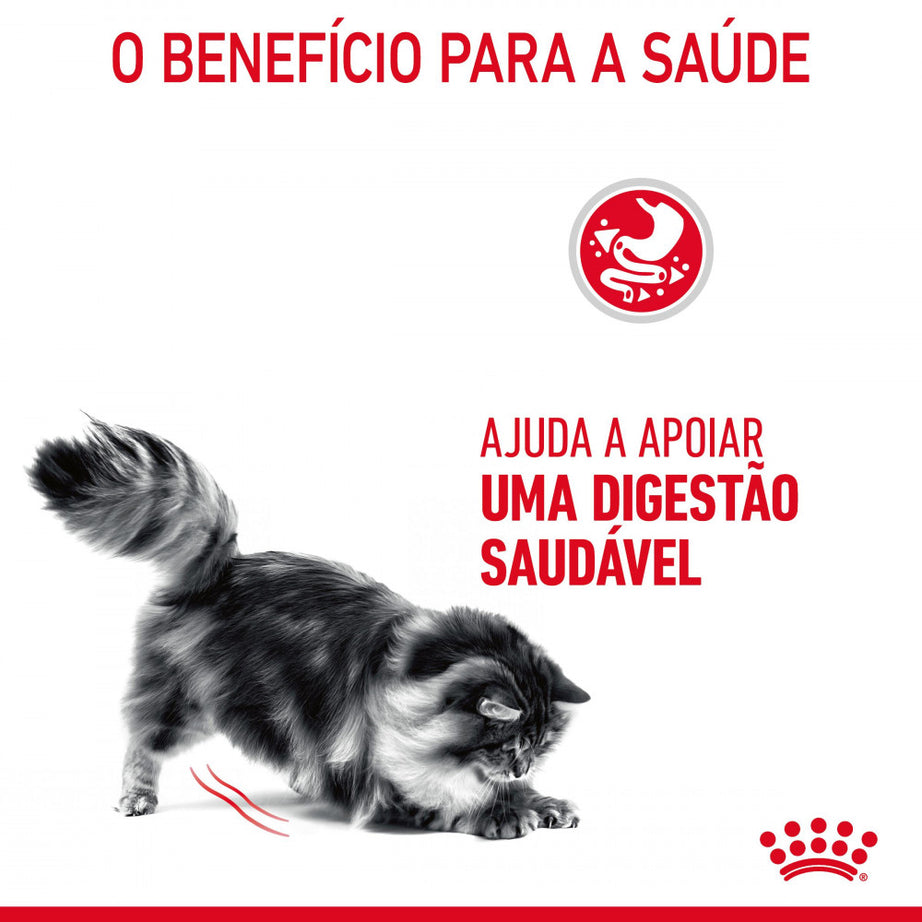 Royal Canin Cat Digestive Care