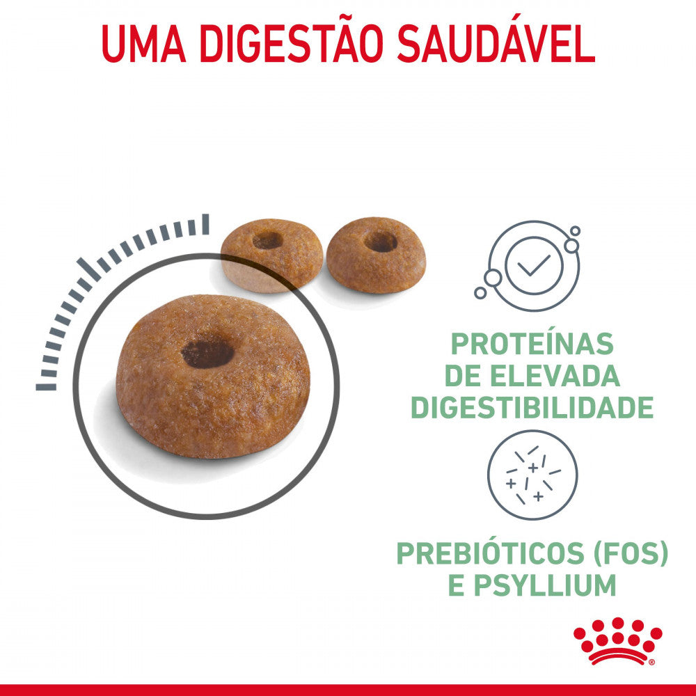 Royal Canin Cat Digestive Care