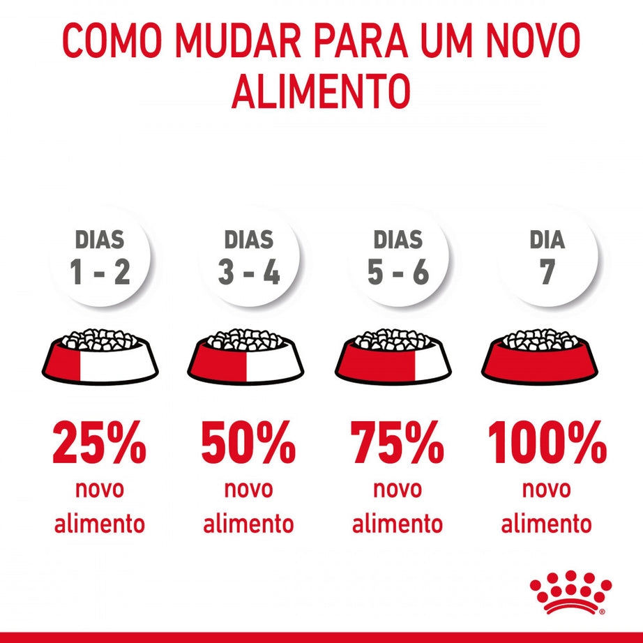 Royal Canin Cat Digestive Care