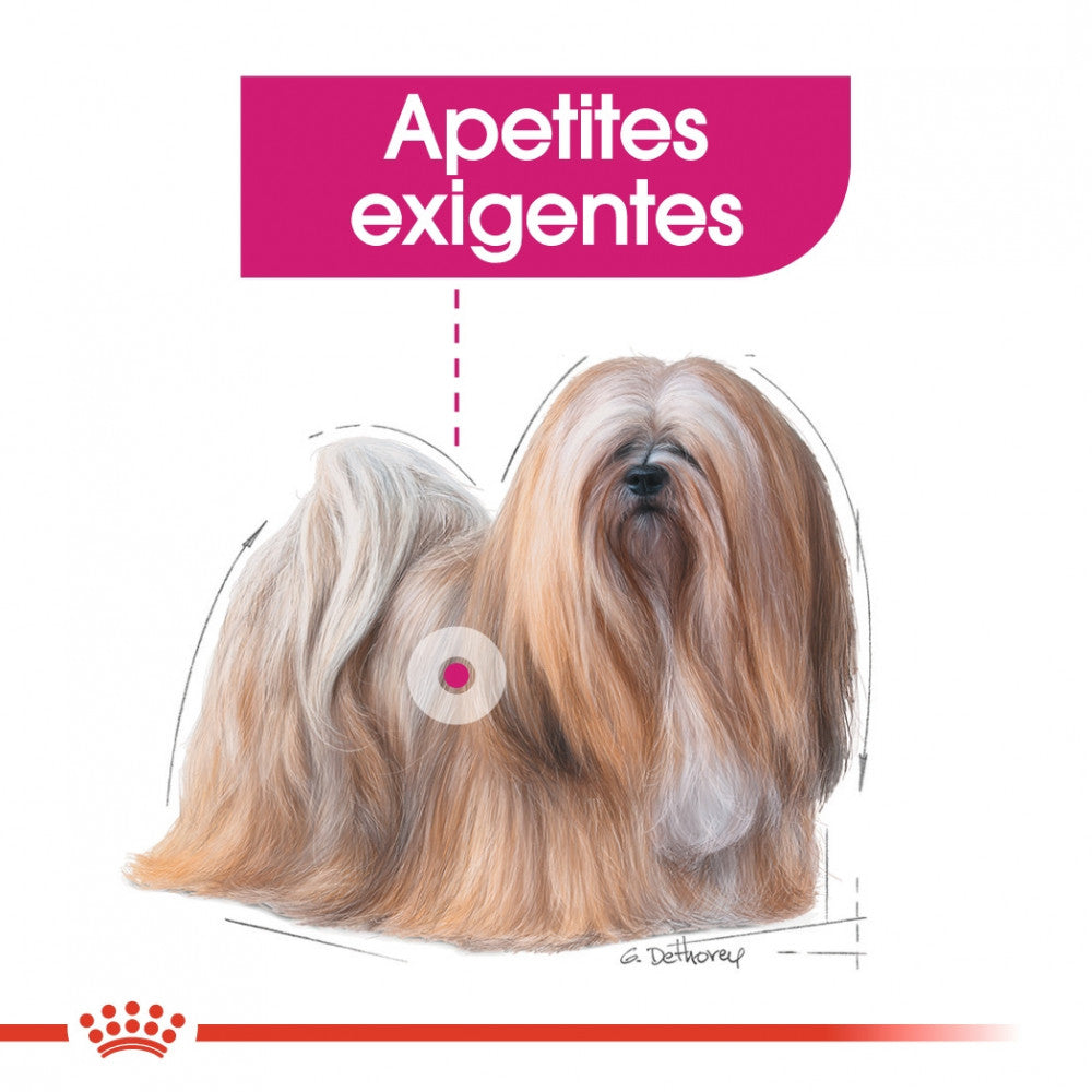 Royal Canin Dog Exigent | Wet (Pouch) | 12 x 85 g