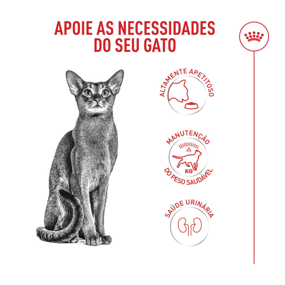 Royal Canin Fussy Exigent Ração Seca para gatos