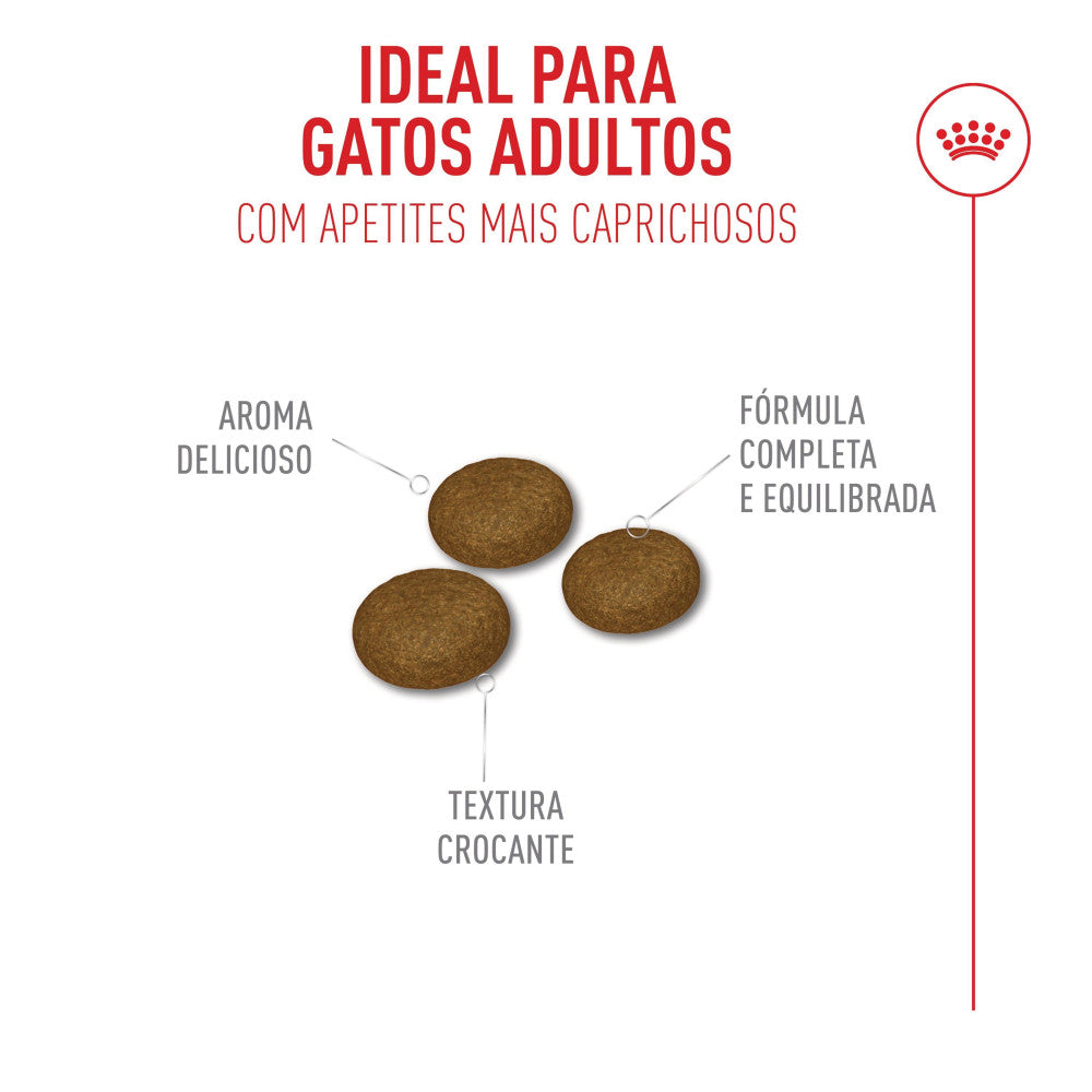 Royal Canin Fussy Exigent Ração Seca para gatos
