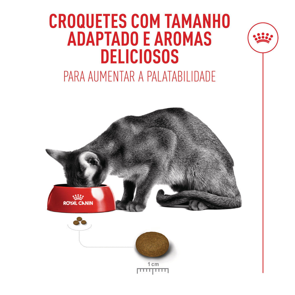 Royal Canin Fussy Exigent Ração Seca para gatos