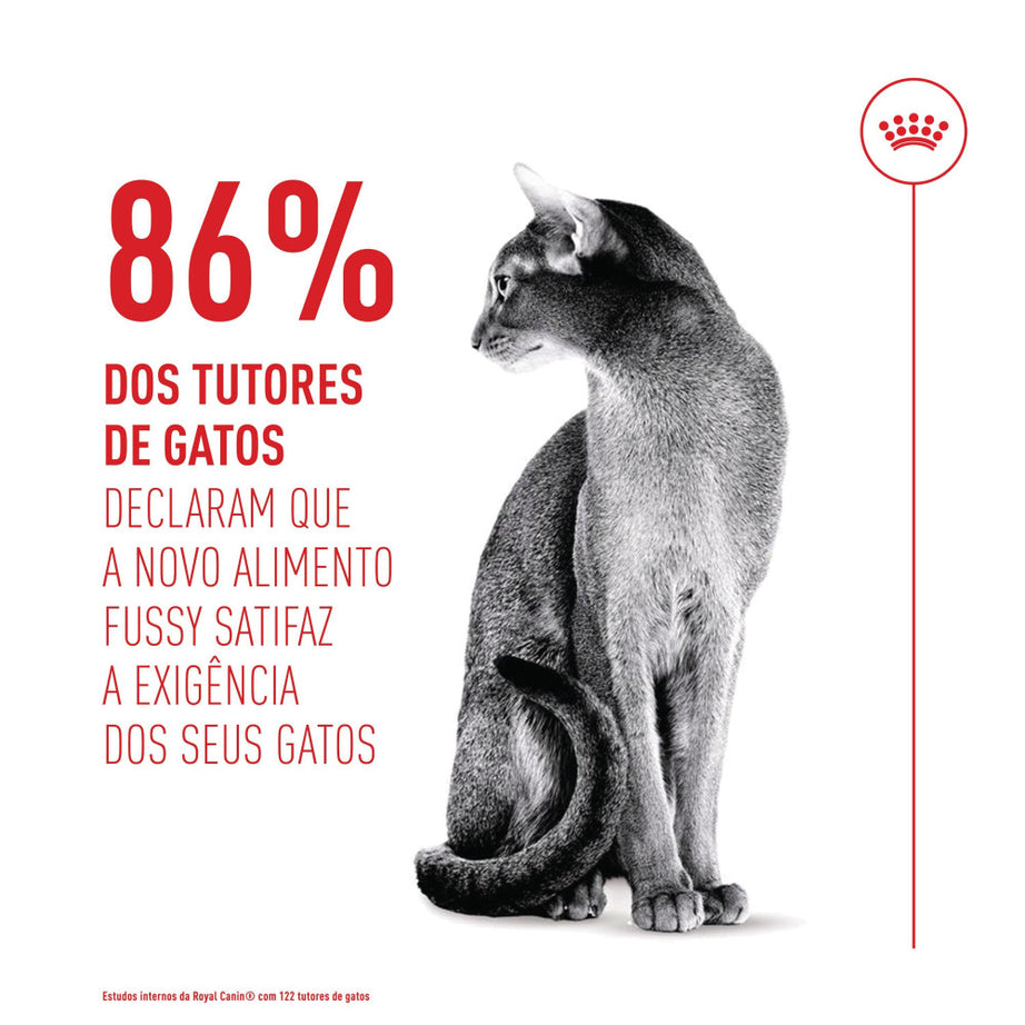 Royal Canin Fussy Exigent Ração Seca para gatos