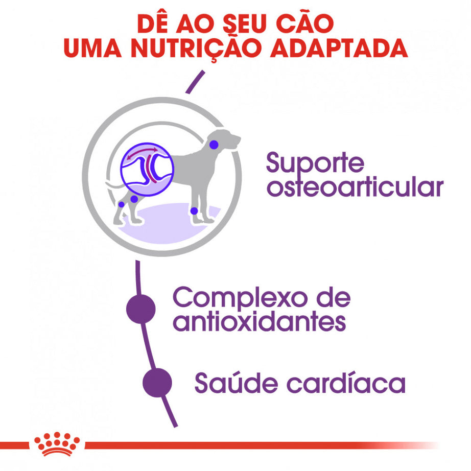 Royal Canin Dog Giant Adult | 15 Kg - Ração seca para cão de porte gigante (+45kg)