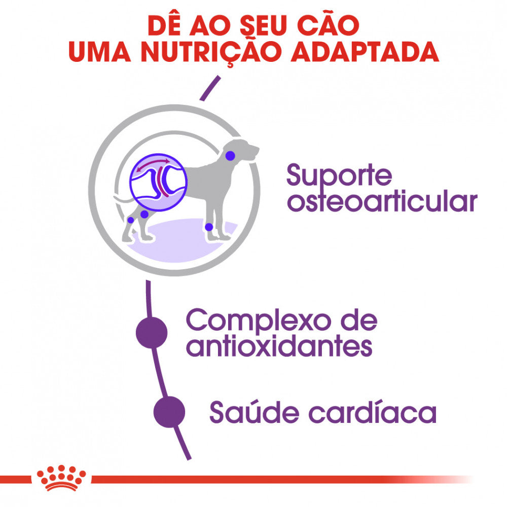 Royal Canin Dog Giant Adult | 15 Kg - Ração seca para cão de porte gigante (+45kg)