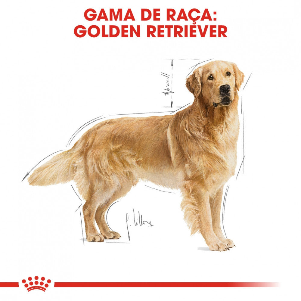 Royal Canin Dog Golden Retriever Adult | 12 Kg - Ração seca para cão adulto da raça Golden Retriever