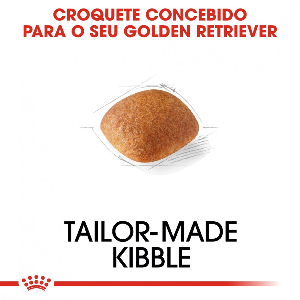 Royal Canin Dog Golden Retriever Adult | 12 Kg - Ração seca para cão adulto da raça Golden Retriever