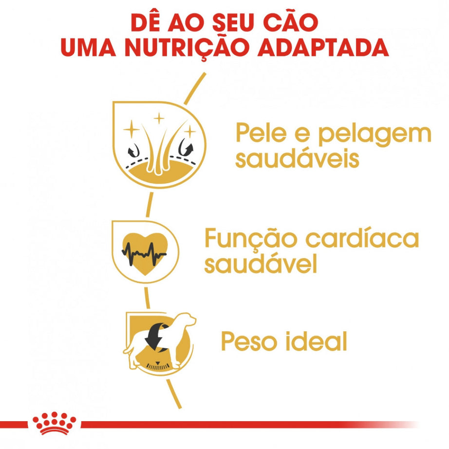 Royal Canin Dog Golden Retriever Adult | 12 Kg - Ração seca para cão adulto da raça Golden Retriever