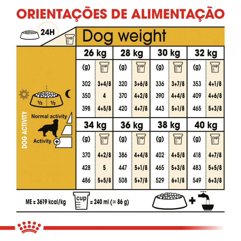 Royal Canin Dog Golden Retriever Adult | 12 Kg - Ração seca para cão adulto da raça Golden Retriever