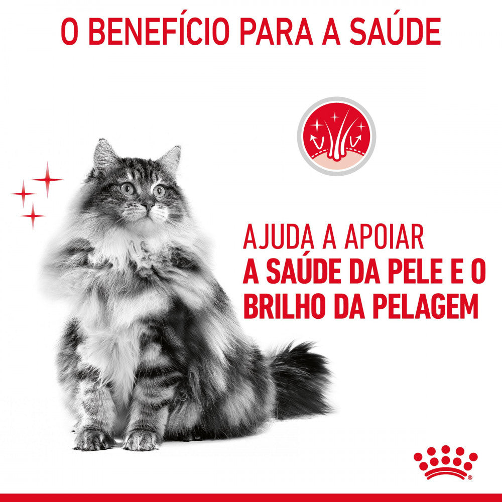 Royal Canin Hair & Skin Care - Dry food for adult cats with sensitive skin and coat