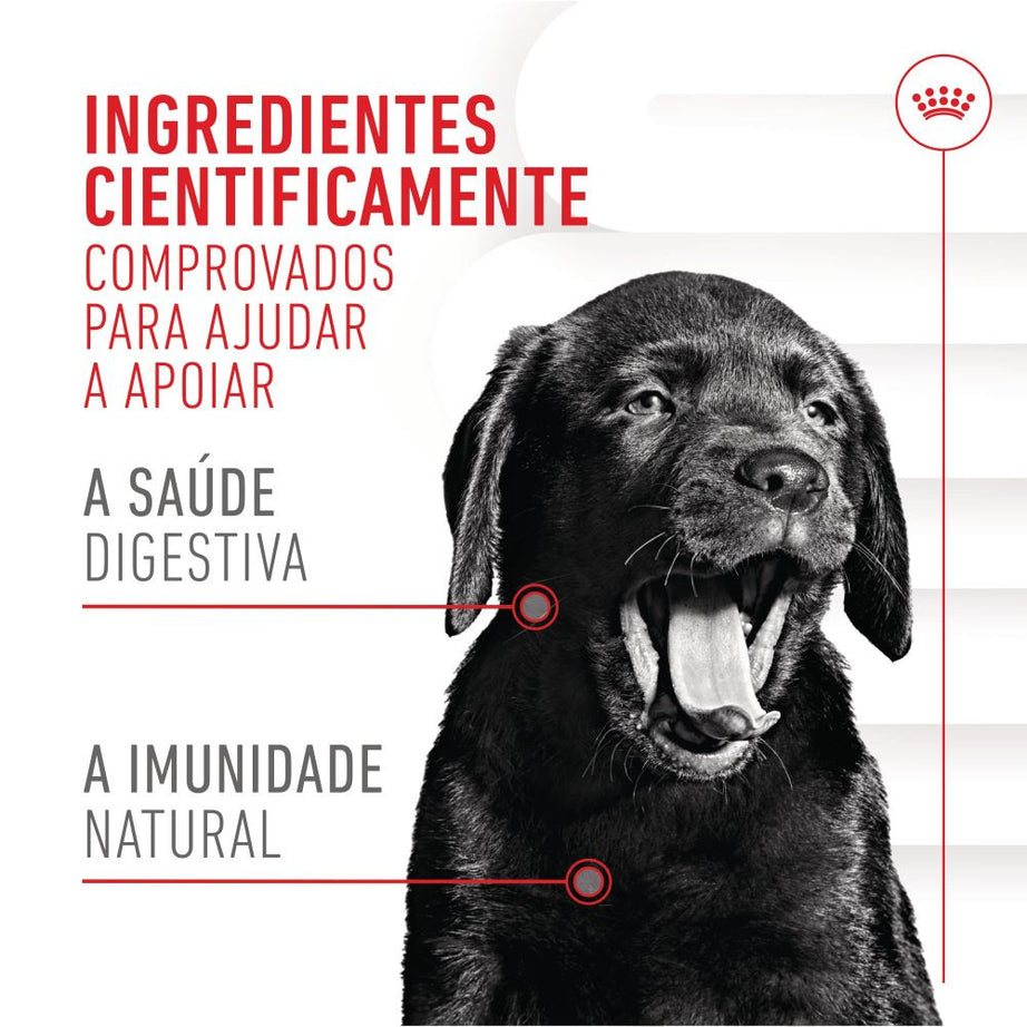 Royal Canin Immunity Digestion Puppy - Suplemento para cachorro com sensibilidade digestiva 100g