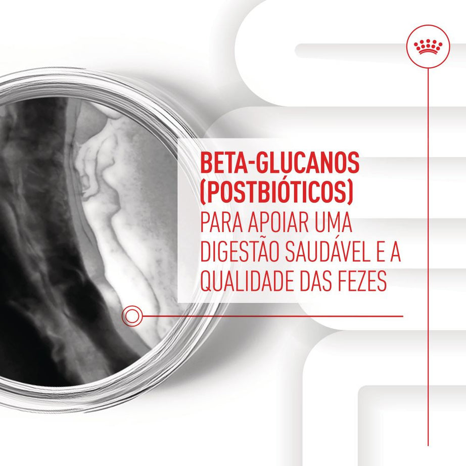 Royal Canin Immunity Digestion Puppy - Suplemento para cachorro com sensibilidade digestiva 100g