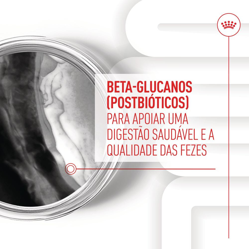 Royal Canin Immunity Digestion Puppy - Suplemento para cachorro com sensibilidade digestiva 100g