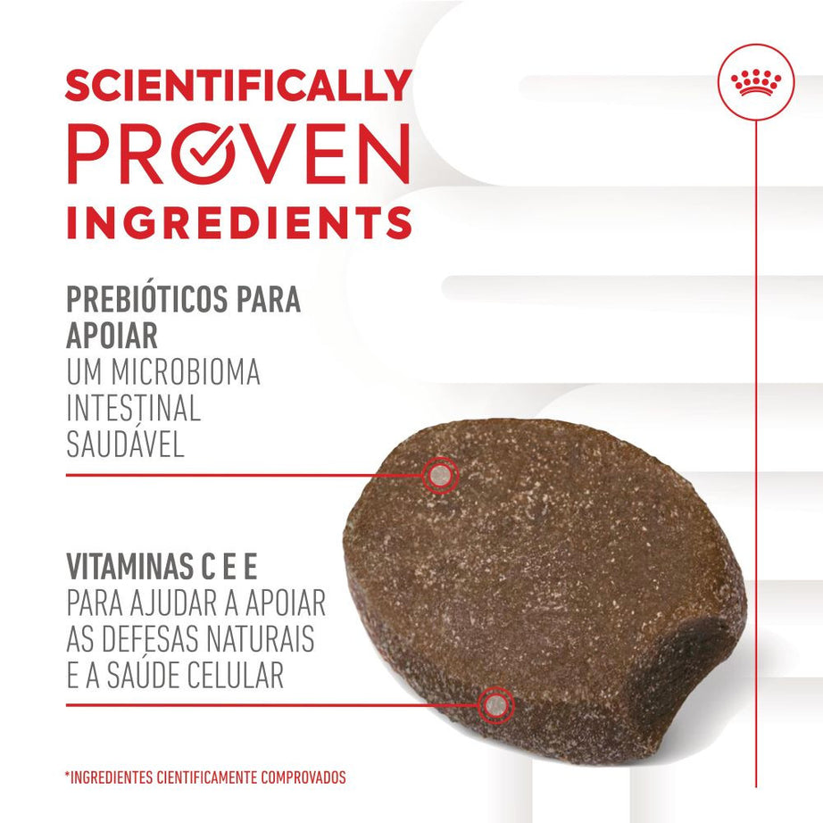Royal Canin Immunity Digestion Puppy - Suplemento para cachorro com sensibilidade digestiva 100g