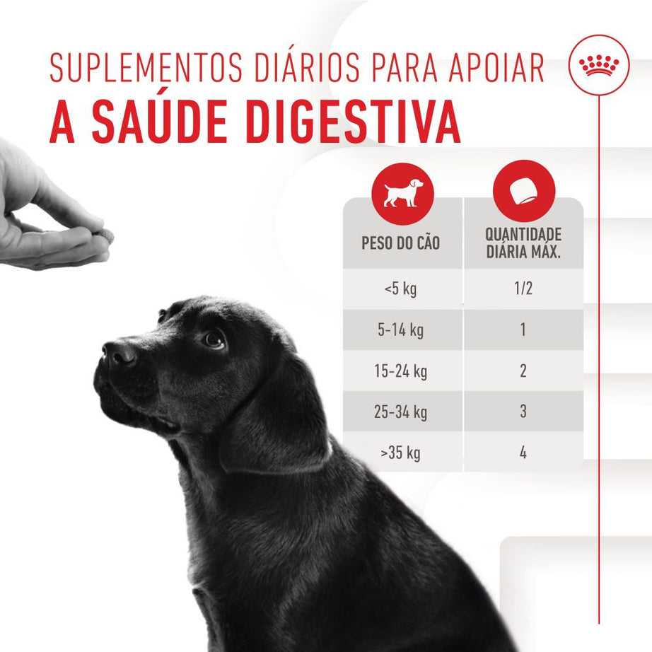 Royal Canin Immunity Digestion Puppy - Suplemento para cachorro com sensibilidade digestiva 100g