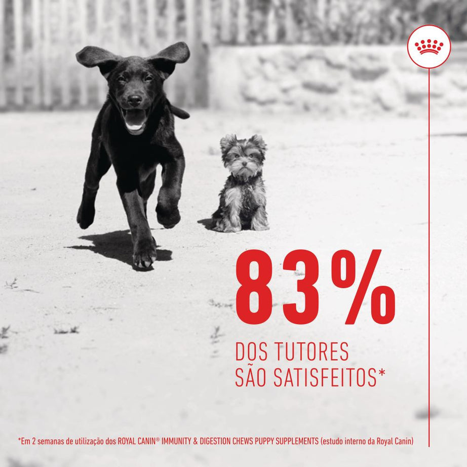 Royal Canin Immunity Digestion Puppy - Suplemento para cachorro com sensibilidade digestiva 100g