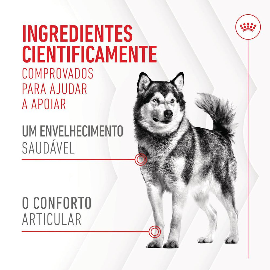 Royal Canin Joint & Ageing Chews - Suplemento para cão com sensibilidade articular 240g