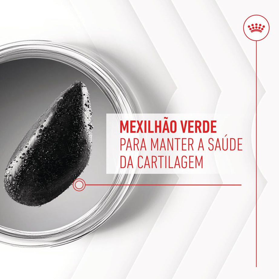 Royal Canin Joint & Ageing Chews - Suplemento para cão com sensibilidade articular 240g