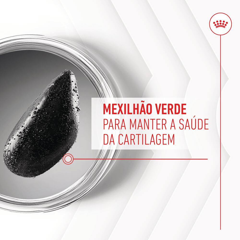 Royal Canin Joint & Ageing Chews - Suplemento para cão com sensibilidade articular 240g