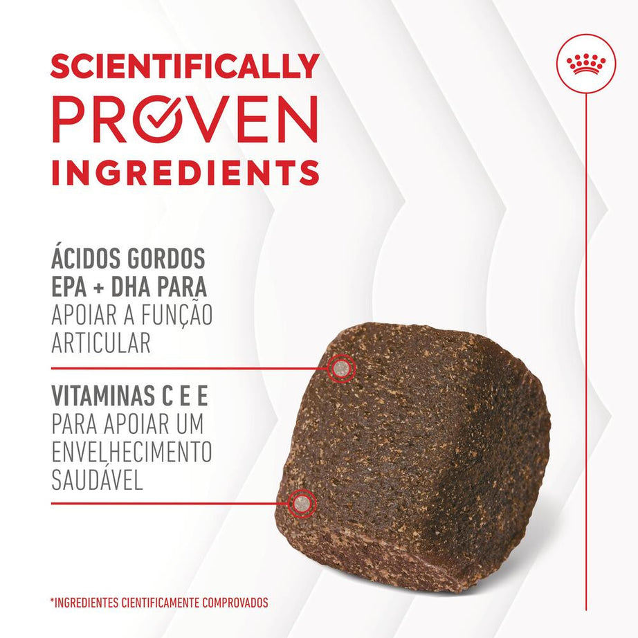Royal Canin Joint & Ageing Chews - Suplemento para cão com sensibilidade articular 240g