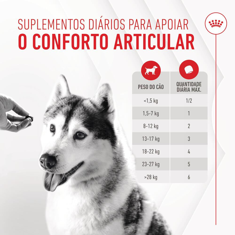 Royal Canin Joint & Ageing Chews - Suplemento para cão com sensibilidade articular 240g